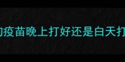 狗疫苗晚上打好还是白天打