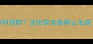 幼犬高空坠落如何预防这份安全指南让毛孩子远离危险