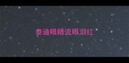 泰迪眼睛流眼泪红