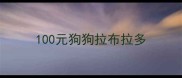 100元狗狗拉布拉多