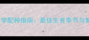 拉布拉多科学配种指南最佳生育季节与繁殖全流程