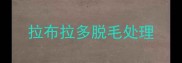 拉布拉多脱毛处理