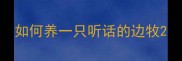 如何养一只听话的边牧