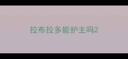 拉布拉多能护主吗