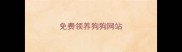 免费领养狗狗网站