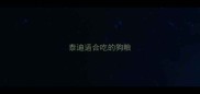 泰迪适合吃的狗粮