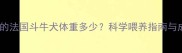 四个月大的法国斗牛犬体重多少科学喂养指南与成长标准