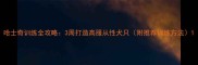 哈士奇训练全攻略3周打造高服从性犬只附推荐训练方法