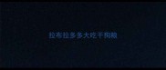 拉布拉多多大吃干狗粮