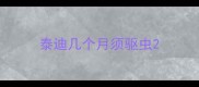 泰迪几个月须驱虫
