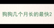 狗狗几个月长的最快