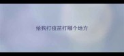 给狗打疫苗打哪个地方