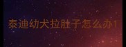 泰迪幼犬拉肚子怎么办
