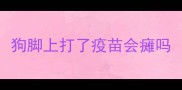 狗脚上打了疫苗会瘫吗