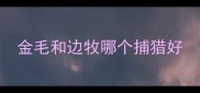 金毛和边牧哪个捕猎好