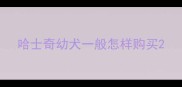 哈士奇幼犬一般怎样购买