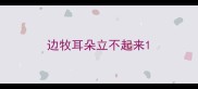 边牧耳朵立不起来