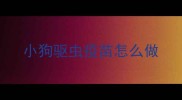 小狗驱虫疫苗怎么做