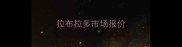 拉布拉多市场报价