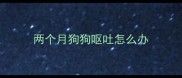 两个月狗狗呕吐怎么办