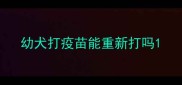 幼犬打疫苗能重新打吗