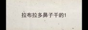 拉布拉多鼻子干的