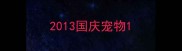 2013国庆宠物