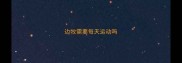 边牧需要每天运动吗