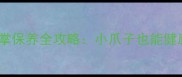 拉布拉多脚掌保养全攻略小爪子也能健康又可爱