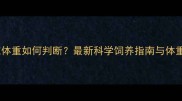 拉布拉多标准体重如何判断最新科学饲养指南与体重管理全攻略