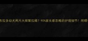 紧急处理拉布拉多幼犬两月大频繁拉稀90家长都忽略的护理细节附喂食急救指南