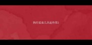 狗打疫苗几天起作用