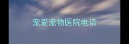 宠爱宠物医院电话