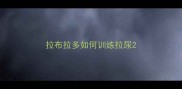 拉布拉多如何训练拉尿