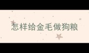 怎样给金毛做狗粮