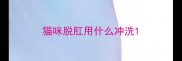 猫咪脱肛用什么冲洗