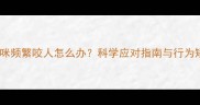 三个月大猫咪频繁咬人怎么办科学应对指南与行为矫正全攻略