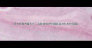 哈士奇每天睡多久高能量犬种的睡眠规律与养护指南