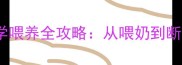 20多天泰迪幼犬科学喂养全攻略从喂奶到断奶的健康成长指南