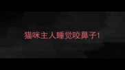 猫咪主人睡觉咬鼻子