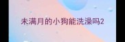 未满月的小狗能洗澡吗