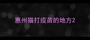惠州猫打疫苗的地方