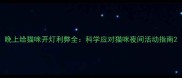 晚上给猫咪开灯利弊全科学应对猫咪夜间活动指南