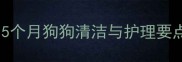 幼犬夏季洗澡全攻略5个月狗狗清洁与护理要点附科学洗护流程