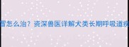 20多天小狗反复感冒怎么治资深兽医详解犬类长期呼吸道疾病家庭护理全攻略