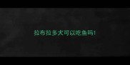 拉布拉多犬可以吃鱼吗