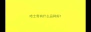 哈士奇有什么品种好