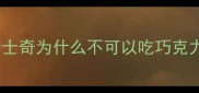 哈士奇为什么不可以吃巧克力