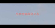怎样带狗狗坐火车