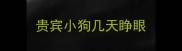 贵宾小狗几天睁眼